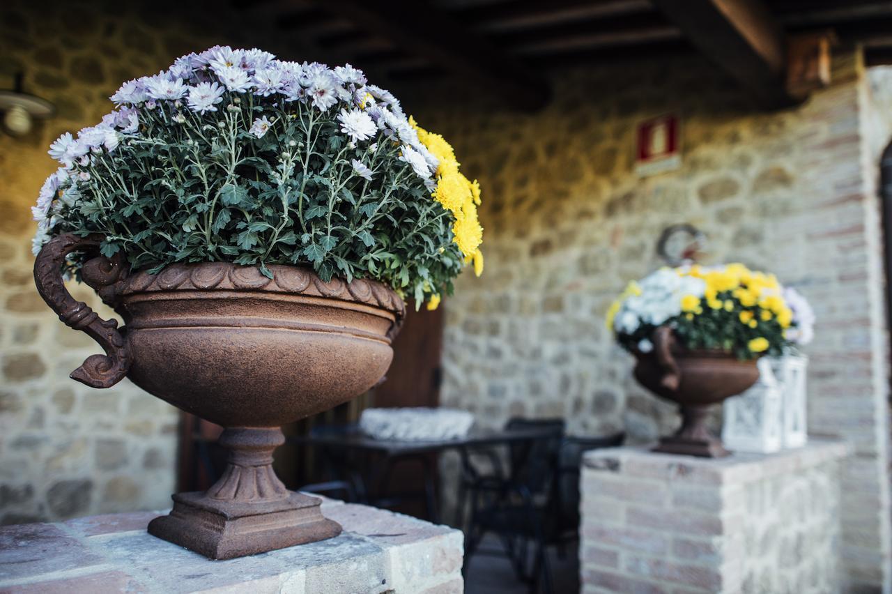 Apartamento Borgo Del Faggio Montepulciano Stazione Exterior foto